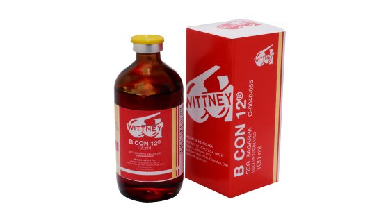 wittney bcon12545x320